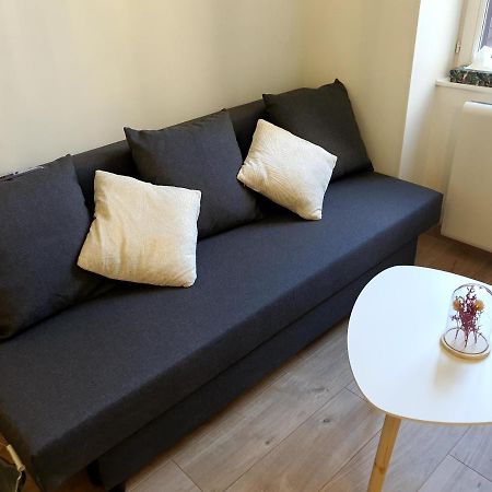 Appartement Cosy Entier, Parking Gratuit Dans La Rue Dijon Eksteriør billede