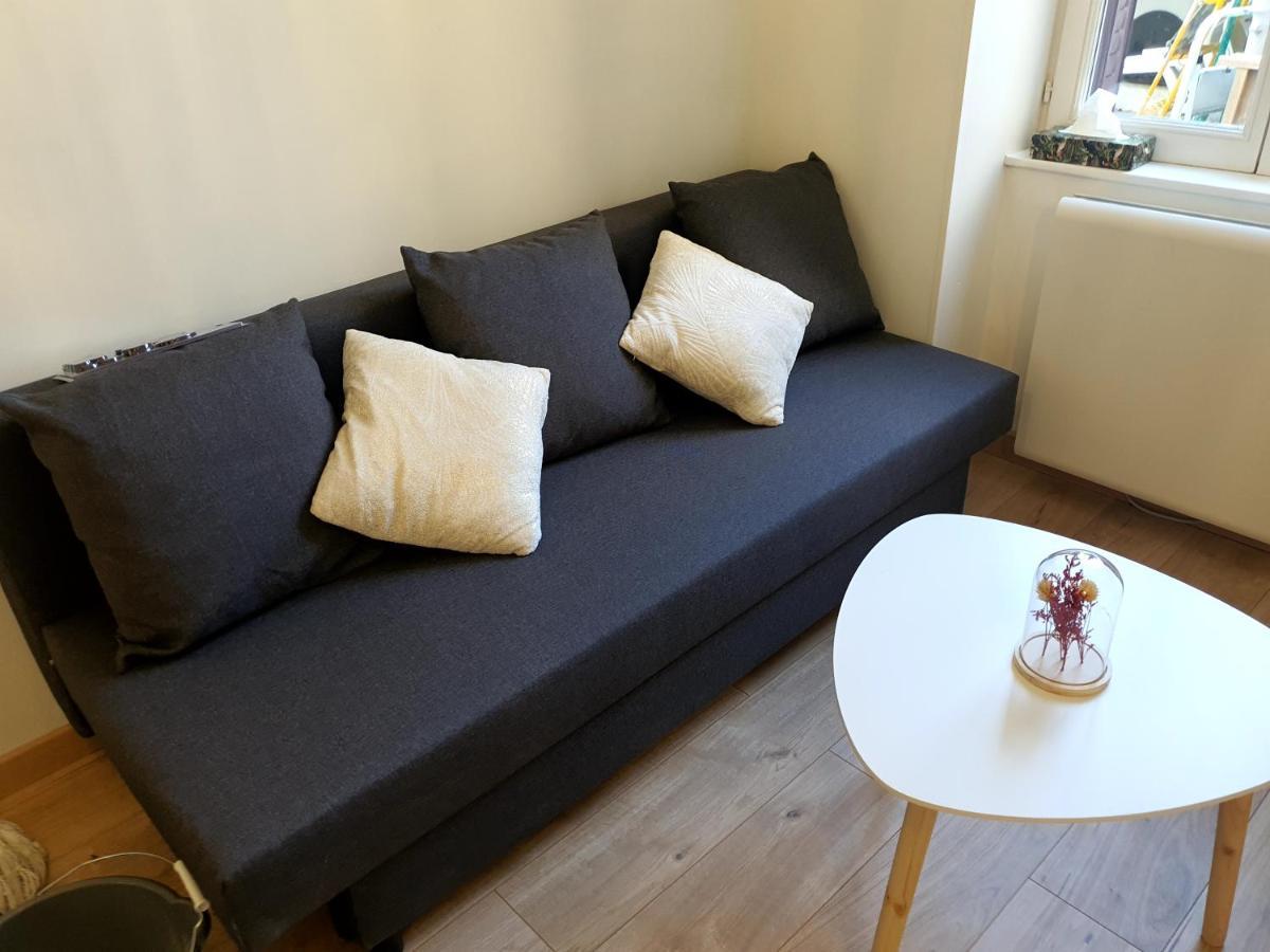 Appartement Cosy Entier, Parking Gratuit Dans La Rue Dijon Eksteriør billede